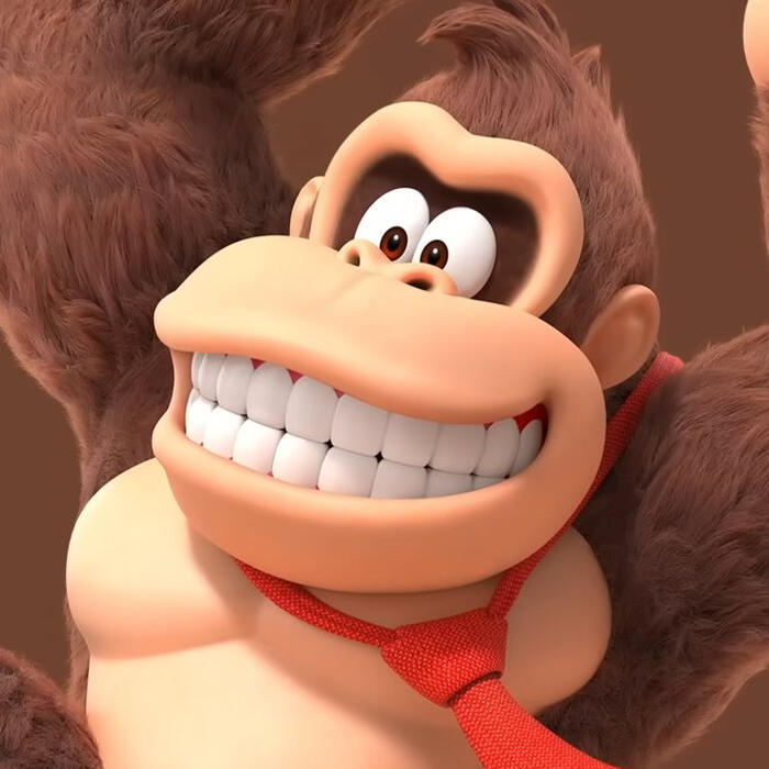 DONKEY KONG (DKC)
